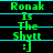 Green pixelated text on black background with cyan horizontal lines, displaying "Ronak Is The Shytt :}" in three identical across two