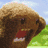 A 48x48 pixel animated contact sheet with three visible frames showing a brown dog, green dinosaur, and "RAW R." text with heart symbol.