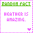 Green 'RANDOM FACT' text at top, pink 'HEATHER IS AMAZING.' text below, purple pixelated border with heart and Y symbol in bottom corners.
