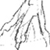 Pixelated grayscale static image of abstract flowing lines on white background, appearing as a stylized signature or motion blur effect with no discernible subjects or text.