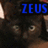 Blue text 'ZEUS' appears above a dark, pixelated cat face with light-colored eyes and brown fur tones.