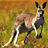 Pixelated static image of a kangaroo standing in grassy terrain with brown and green background hues.