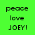 Green background with pixelated text reading peace, love, and JOEY! in black letters.