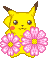 Pixel art contact sheet showing two frames of a yellow Pokémon character holding pink flowers with visible mouth and tongue differences between frames.