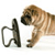 A pixelated brown dog with a black nose stands beside a dark, abstract, curved shape on a white background.