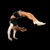 A person in a black top and orange pants performs a backflip against a black background, transitioning to white and outdoor settings.