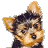 Pixelated dog head with brown and black fur, light tan ears, dark eyes on gray background next to green text reading 'OriginalIcons.com' in bright green.