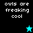 Pixelated text 'owls are freaking cool' appears on four colored backgrounds with a star icon changing from cyan to black.