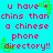Pixelated text on cyan background with green square outlines and red 'u have chins than a chinese phone directory!!' message.