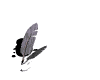 Animated sequence showing a feather quill and inkwell with text changing from 'A' to 'Aide' across frames.
