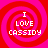 Four identical pixelated display 'I LOVE CASSIDY' text over red and pink spiral backgrounds with no visible animation changes