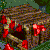 Pixelated image of red mushroom-like shapes on a brown textured background with green and blue accents.