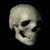 Six grayscale skull views arranged in a against black background, showing different angles of the same skeletal head