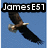 Animated sequence showing a bald eagle in flight against a blue sky, with text overlays reading 'James E51', 'loves', and 'birds!' in white pixelated font.