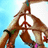 Two hands form a peace sign against a light blue background with white and brown tones.