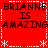 Red background with white dashed border and asterisk corners, displaying repeated text "BRIANNE IS AMAZING" in black pixelated font across four identical quadrants.