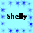 Light blue background with repeating small dark blue starburst patterns and four instances of the word "Shelly" in bold black text.