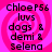 Four identical display black text on a pink spiral background with no visible animation changes