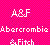 Static pixel art icon with bright pink background displaying three lines of white text: 'A&F', 'Abercrombie', and 'Fitch' in blocky, low-resolution font.