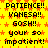 Yellow background with orange star pattern, repeated text in black pixelated font reading "PATIENCE!! VANESA!! GOSH!! your so impatient!" across three