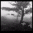 A black-and-white animated contact sheet showing three sequential frames of a lone tree in a misty landscape with the word 'Lonely.' displayed below each frame.