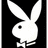 Static pixel art of a white rabbit head with long ears against black background, featuring one visible eye and no mouth.
