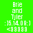 Green background displays four identical text blocks with blue highlight changes across observations, showing 'Brie and Tyler' text above timestamp ':15.14.09:' and '<88888' symbol.