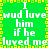 Green background with yellow border, white text repeating 'I wud luve him if he luyed me' in pixelated font across two mirrored sections.