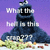 A pixelated image of a dark blue character with a black face and white eyes, standing against a purple background with green and white ground elements, overlaid with white text reading "What the hell is this crap???".