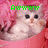 A pixelated kitten in a pink basket with green text overlays reading Awwww, How, and Cute!!!