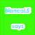 Green background with blue text reading "BiancaLS says Animals Rule!!!" above three animal images: a horse, guinea pig, and cat.