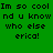 Green background with black pixelated text reading "Im so cool nd u know who else erica!" and yellow highlighted sections changing across frames.