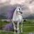 Fantasy icons for AIM, MSN, MySpace and Yahoo