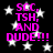 Black background with white stars and pink text reading "SCC, TSH, AND DUDE!!!" in four identical quadrants.