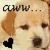 A dog's face with closed eyes and a black heart on the left, transitioning to an open-eyed expression with a pink heart.