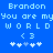 Pixelated blue background with light blue text reading "Brandon You are my world <3" and four white plus signs below, two of which have a single gray pixel.