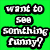 Green background with pixelated text reading 'want to see somthing funny?' next to a white cat with closed eyes and 'LOL' text on brown background.