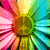 A vibrant, pixelated flower with radiating petals in pink, yellow, green, and cyan hues, centered on a green core.