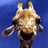 Pixelated giraffe head with open mouth on blue background, accompanied by text "I LOVE Giraffes" in yellow block letters.
