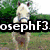 A four- shows a horse, rider, and text reading 'josephF3 loves horses' with pixelated details