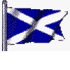 Animated sequence of blue and white saltire flags with 'Scotland's No. 1' text, showing flag waving motion.