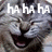 A cat's face with pixelated text overlays reading 'HA HA HA', 'you look...', and 'punny!!!' across three