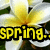 Yellow text reading 'spring.' on a black outline over a pixelated background with yellow, white, and green tones.