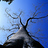 Flickr: The Help Forum: Can't see any images (China June 7th 12.30pm) 中国－看不见图片