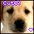 A pixelated dog face with 'Cute!' text above and a heart symbol below, showing two animation states where the right eye's pupil shifts slightly left.