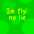 Green background with blurred circular shapes and yellow text reading "Im fly no lie" in four identical quadrants.