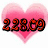 A pixelated heart-shaped icon with red numerals '228.09' overlaid on a pink gradient background, paired with a black displaying white text and symbols