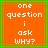 Orange background with green border, white pixelated text reading 'one question i ask why?' arranged vertically.