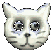 cat face icons with varying eye expressions and mouth shapes on a gray background
