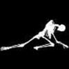 White skeletal figures in various poses on a black background, displayed in a with no visible text or additional elements